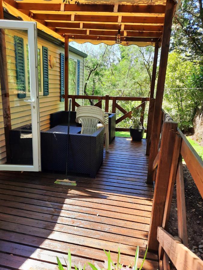 Mobile-Home Hyeres Var Climatise Dans Camping Avec Piscine Jusqu'A 6 Personnes Eksteriør billede